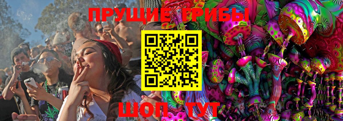 Псилоцибиновые грибы мицелий Уссурийск