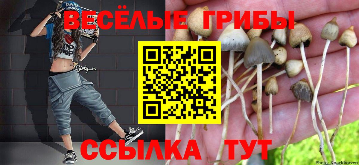 Псилоцибиновые грибы Cubensis  Вход с VPN  Уссурийск 